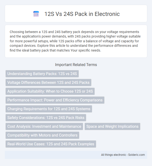 12S vs 24S Pack - What is the difference?