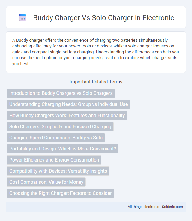 Solo Charger vs Buddy Charger - What is the difference?
