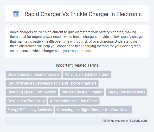 Rapid Charger vs Trickle Charger - What is the difference?