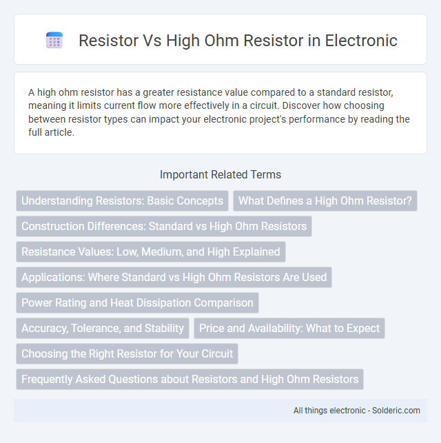 High Ohm Resistor vs Resistor - What is the difference?