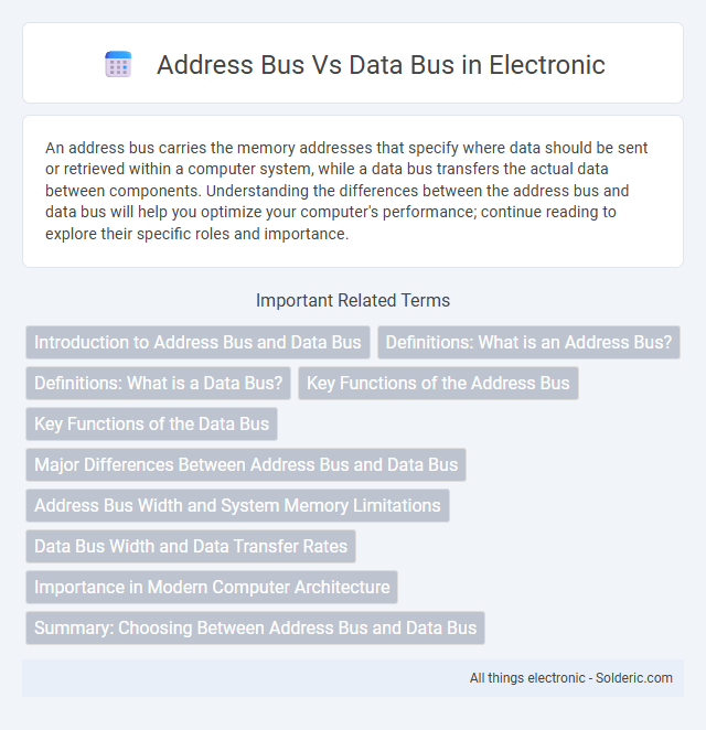 Address Bus vs Data Bus - What is the difference?