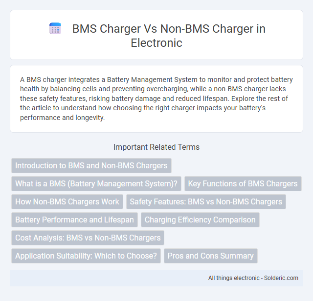 Non-BMS Charger vs BMS Charger - What is the difference?