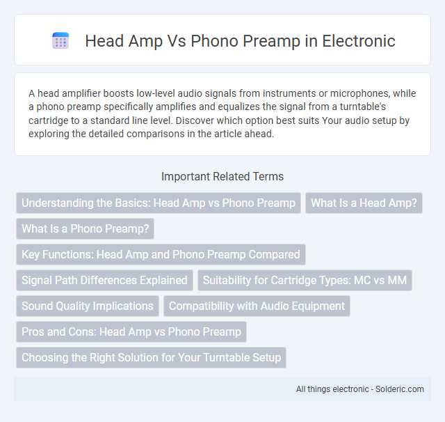 Head Amp vs Phono Preamp - What is the difference?
