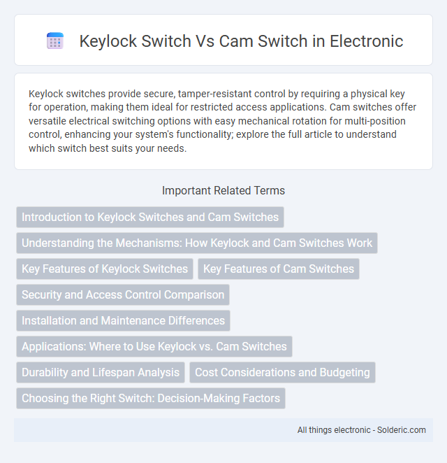 Cam switch vs Keylock switch - What is the difference?