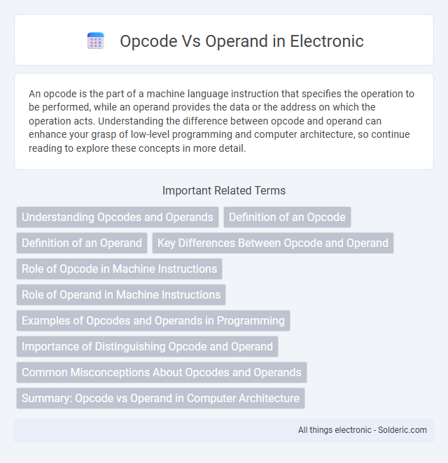 Operand vs Opcode - What is the difference?