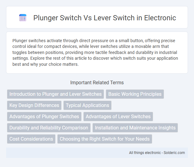 Lever switch vs Plunger switch - What is the difference?