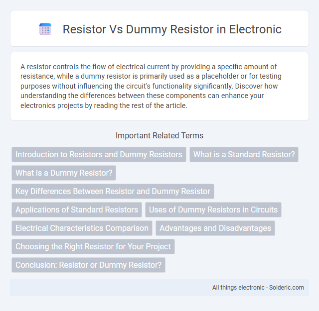 Dummy Resistor vs Resistor - What is the difference?