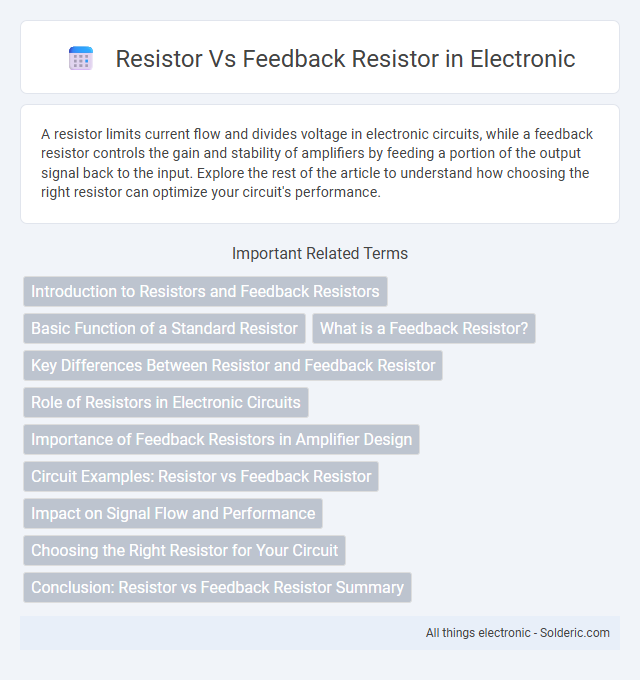 Feedback Resistor vs Resistor - What is the difference?