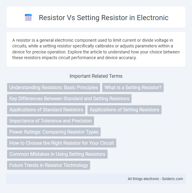 Resistor vs Setting Resistor - What is the difference?