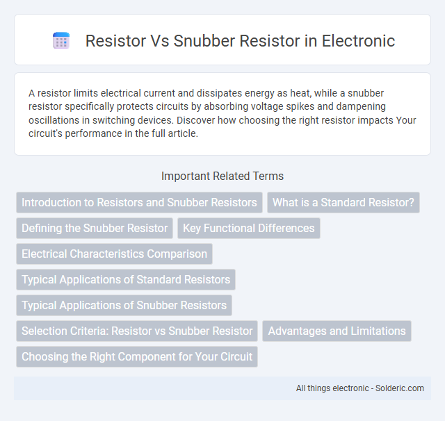 Resistor vs Snubber Resistor - What is the difference?