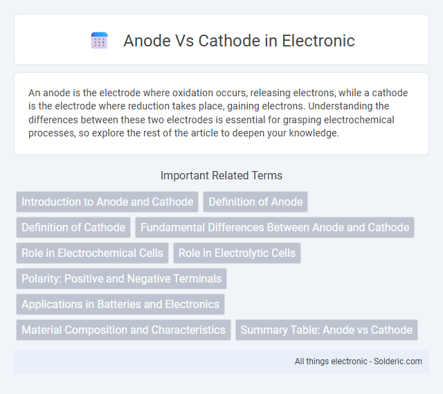 Cathode vs Anode - What is the difference?
