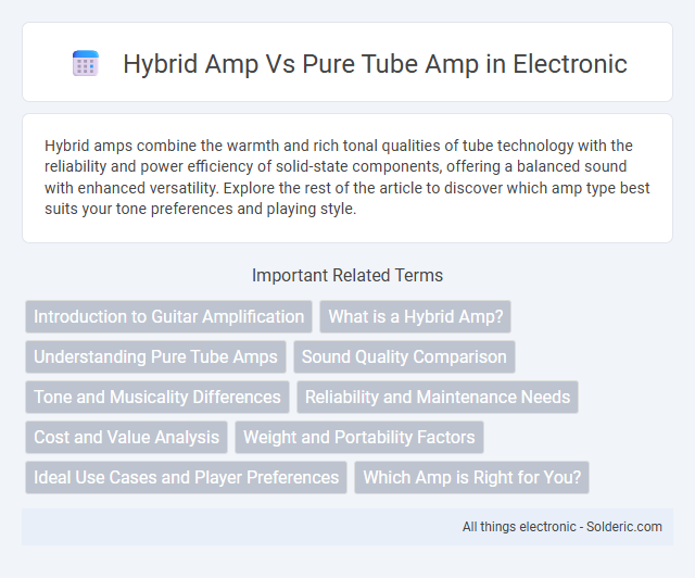 Pure Tube Amp vs Hybrid Amp - What is the difference?