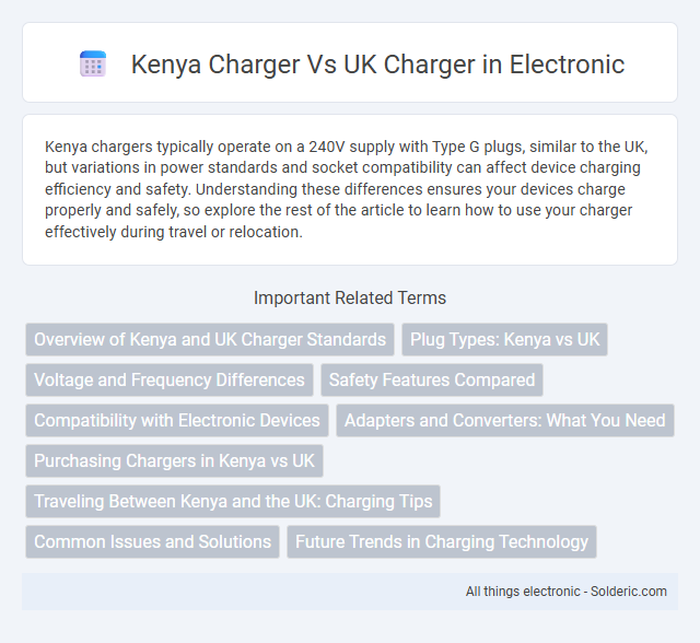 Kenya Charger vs UK Charger - What is the difference?
