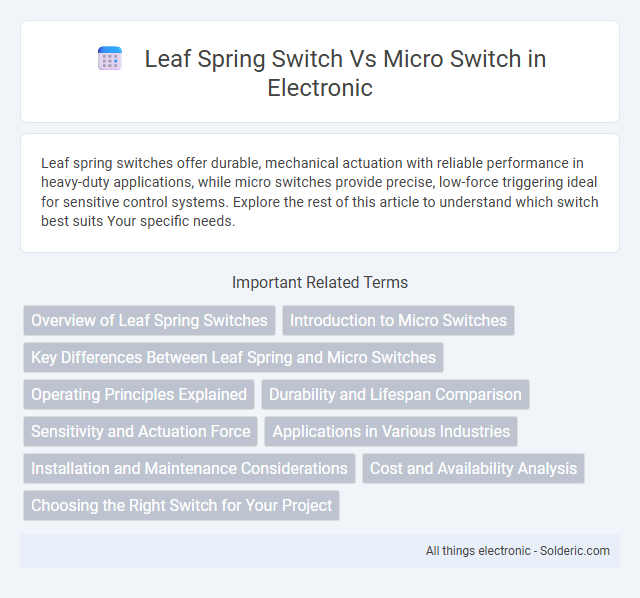Leaf Spring Switch vs. Micro Switch - What is the difference?