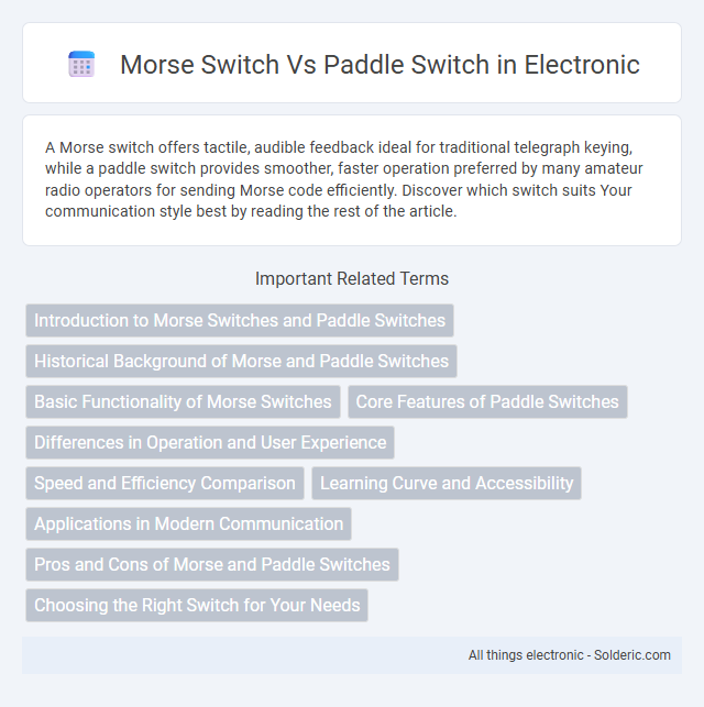 Morse switch vs Paddle switch - What is the difference?