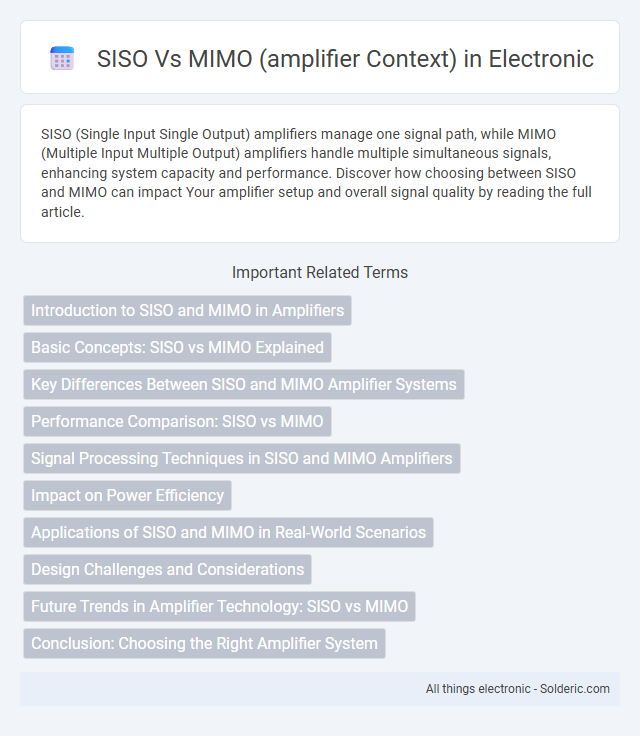 MIMO vs SISO (amplifier context) - What is the difference?