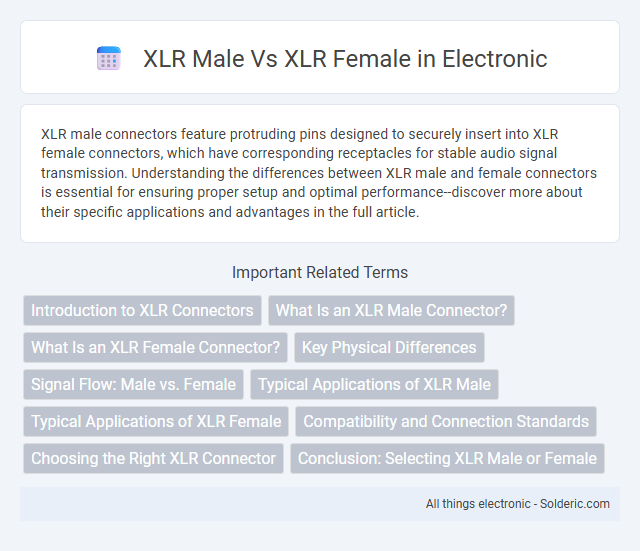 Female XLR vs Male XLR - What is the difference?