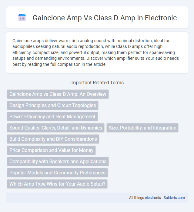 Class D amp vs Gainclone amp - What is the difference?