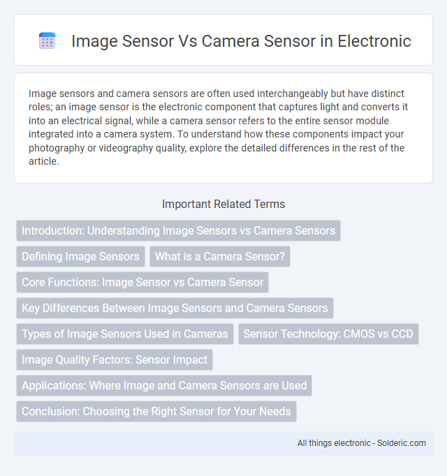 Camera Sensor vs Image Sensor - What is the difference?