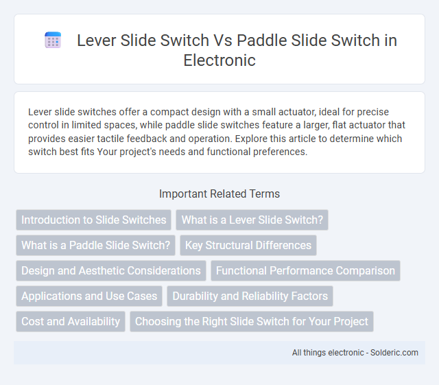 Lever Slide Switch vs Paddle Slide Switch - What is the difference?