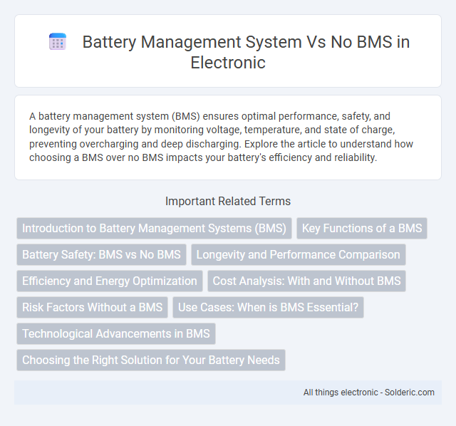 Battery Management System vs No BMS - What is the difference?