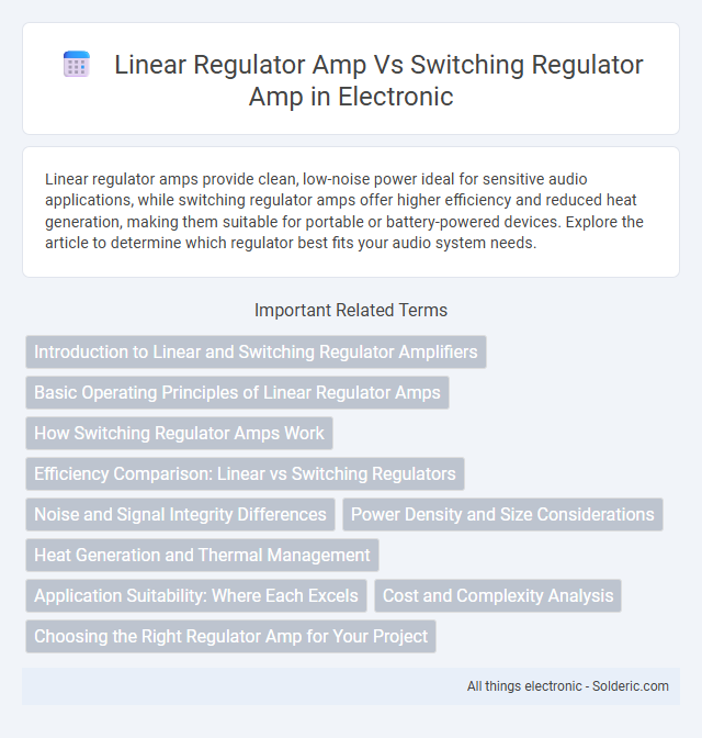 Linear Regulator Amp vs Switching Regulator Amp - What is the difference?