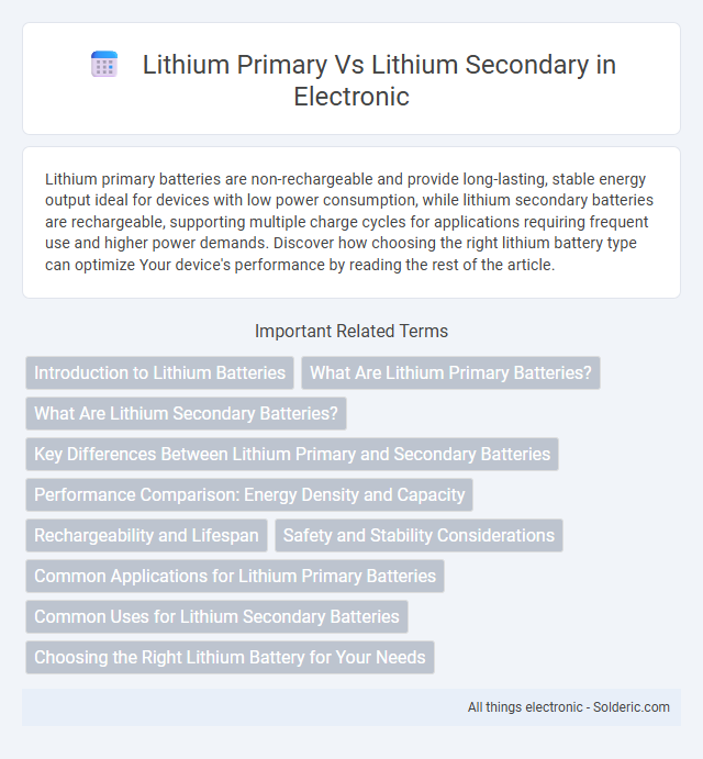 Lithium Primary vs Lithium Secondary - What is the difference?