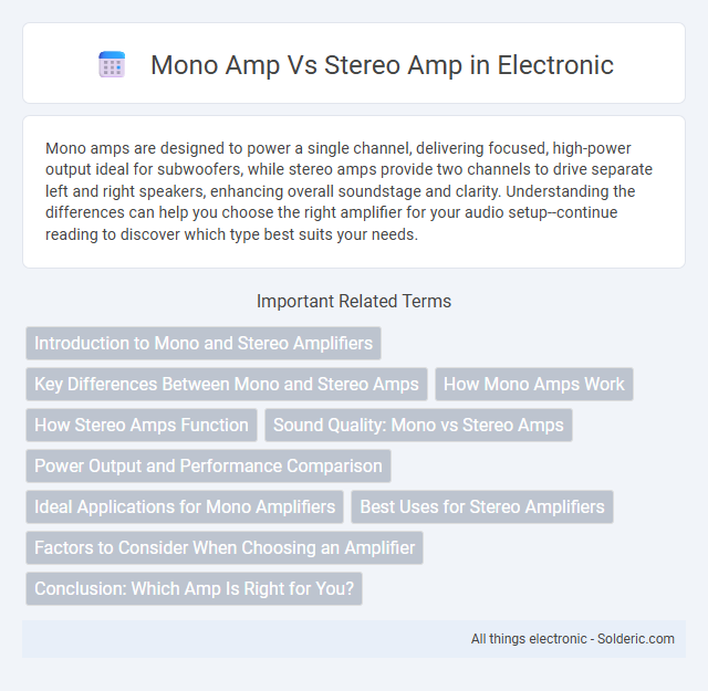 Mono Amp vs Stereo Amp - What is the difference?