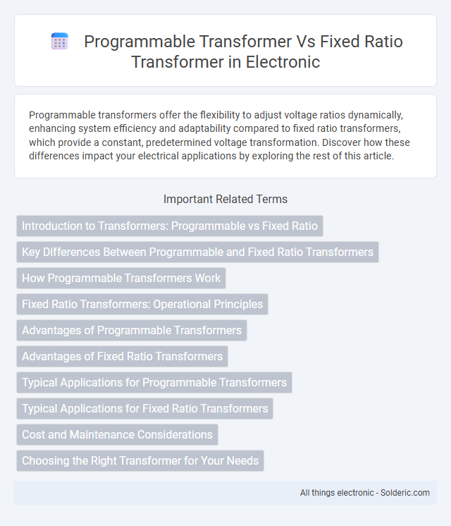 Fixed Ratio Transformer vs Programmable Transformer - What is the difference?