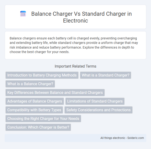 Balance Charger vs Standard Charger - What is the difference?