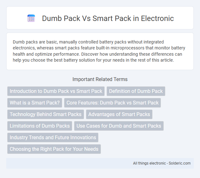 Smart pack vs dumb pack - What is the difference?