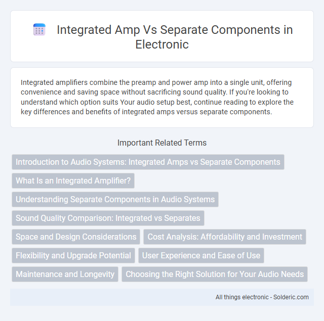 Separate Components vs Integrated Amp - What is the difference?