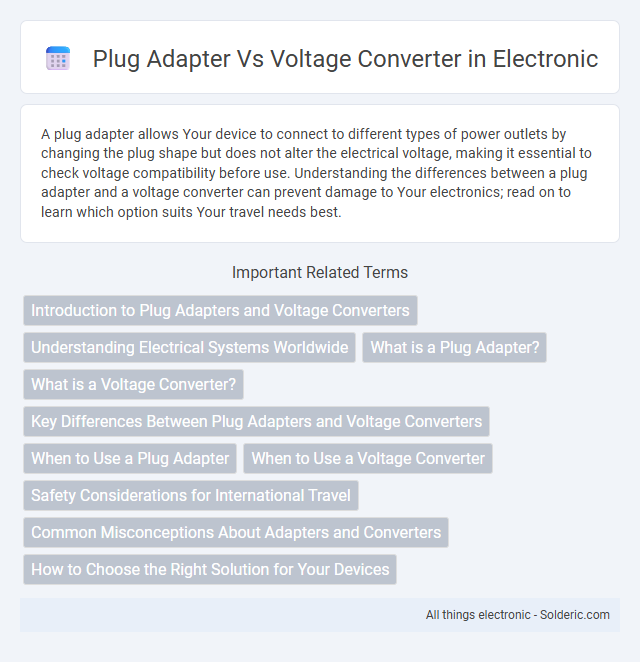 Title: Plug Adapter vs Voltage Converter - What is the difference?