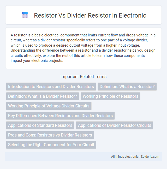 Divider Resistor vs Resistor - What is the difference?