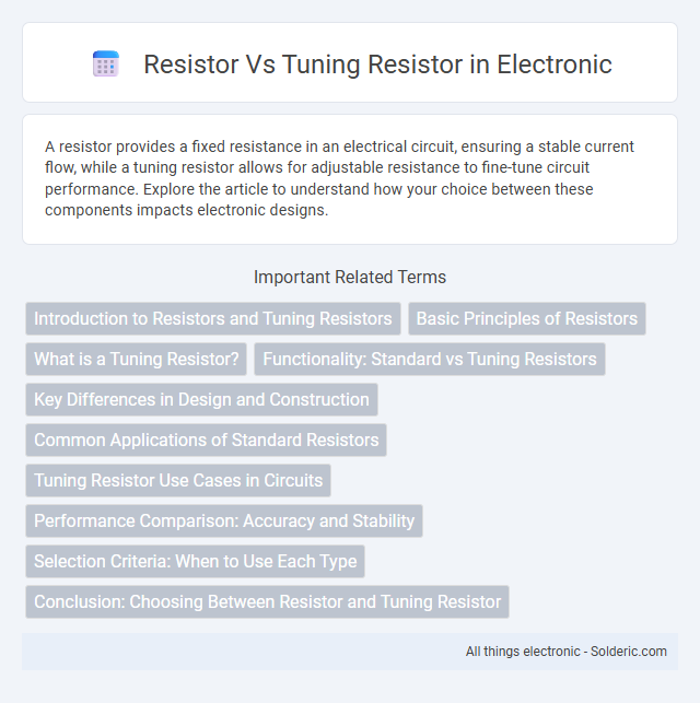 Resistor vs Tuning Resistor - What is the difference?