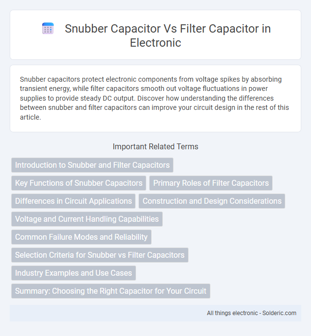 Filter Capacitor vs Snubber Capacitor - What is the difference?