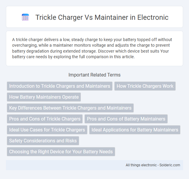 Maintainer vs Trickle Charger - What is the difference?