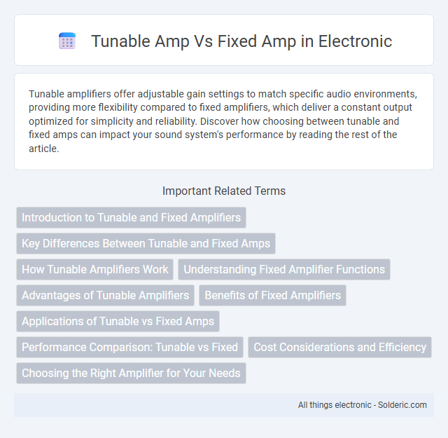 Fixed amp vs Tunable amp - What is the difference?